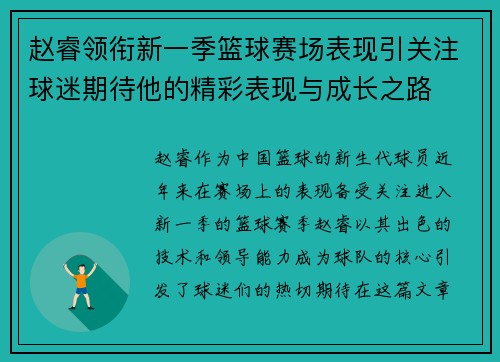 赵睿领衔新一季篮球赛场表现引关注球迷期待他的精彩表现与成长之路